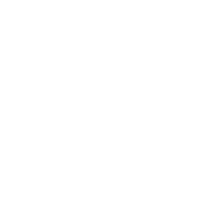 ViZR