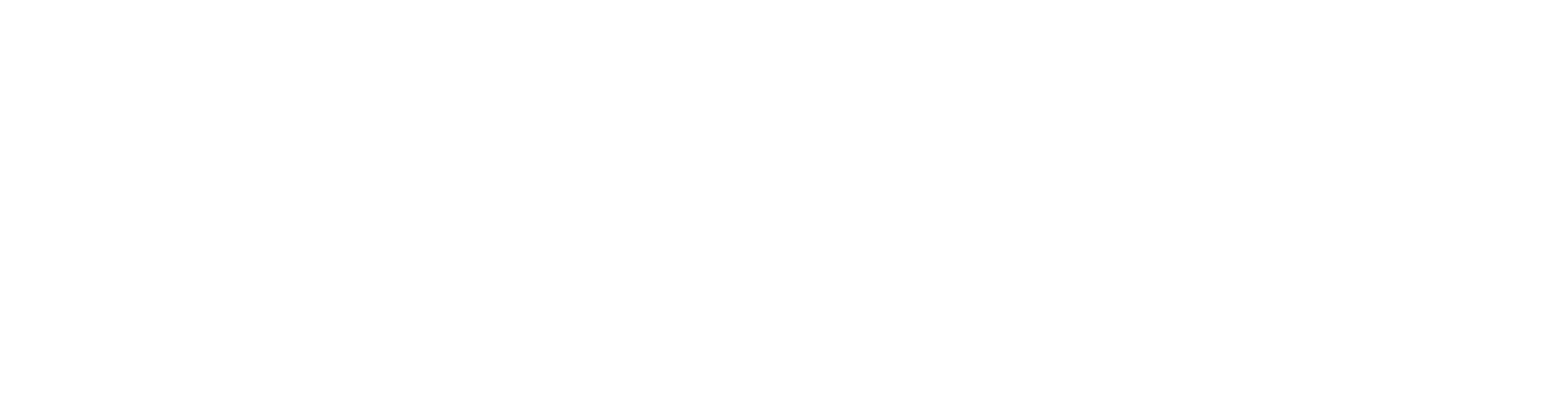 ViZR